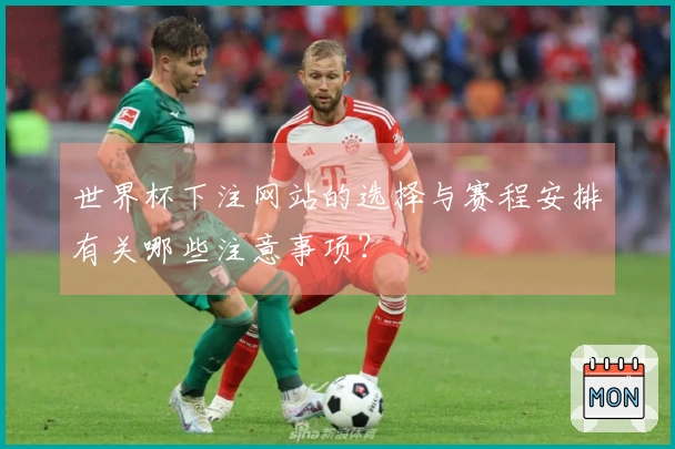 世界杯下注网站的选择与赛程安排有关哪些注意事项?