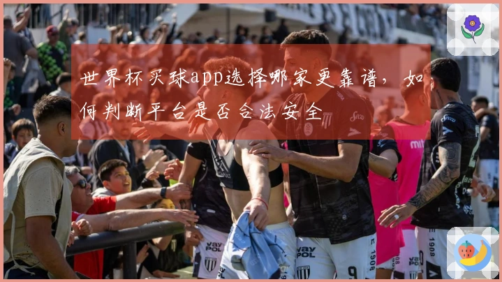世界杯买球app选择哪家更靠谱，如何判断平台是否合法安全