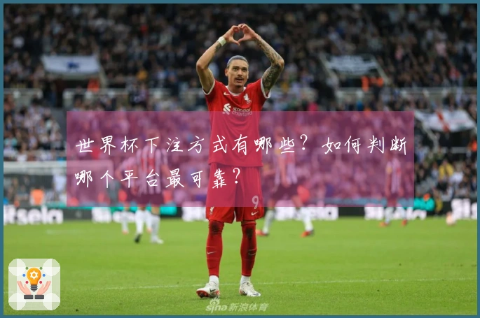 世界杯下注方式有哪些？如何判断哪个平台最可靠？